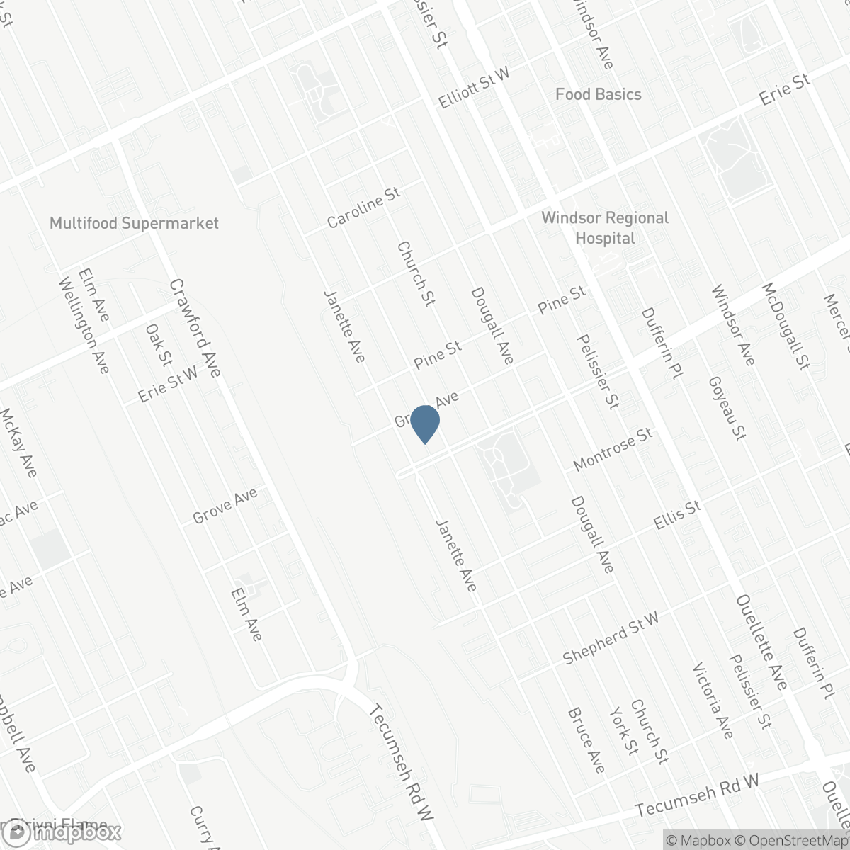 1167 BRUCE AVENUE, Windsor, Ontario N9A 4Y5